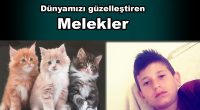 Acımasız cellâtlar, bu kez de Urfa Viranşehir’de melek yüzlü, altın kalpli bir yavrumuzu katletti 5 gün öncenin haberiydi… Haberiydi, diyoruz da, sanki sıradan bir olaymış gibi haber konusu, aslında yürek [&hellip;]