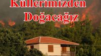 AKP’giller ve onun “Reis”i, iktidarda olduğu 17 yıldan bu yana siyasi planda temsilcisi olduğu Antika Tefeci-Bezirgân Sermaye Sınıfının karakteristik özelliklerinin tümünü uygulamaya koydu. Üretimin hiçbir aşamasıyla ilgilenmediler, hep daha fazla […]