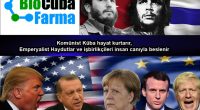 Bu Koronavirüs saldırısı, insanlığa çok açık biçimde şu mesajı veriyor: “Proletarya Enternasyonalizmine geçin!” Çünkü Korona; ırk, millet, kabile, din, mezhep, tarikat, dergâh ayırmıyor. Tüm insanlığı birbirinin benzeri canlılardan oluşmuş olarak [&hellip;]