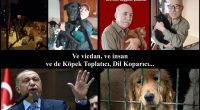 Köpek Toplatıcı, Dil Koparıcı ve muhaliflerine “cinsi cibilliyeti bozuk”, “köpekler”, “anırsanız da anırmasanız da” gibi ağza alınmayacak küfürler savurucu Kaçak Saraylı Hafız’ın son saldırılarından biz de payımızı alıyoruz… Bunca küfürbaz [&hellip;]
