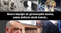 KÖPEK TOPLATTIRICI Zamla, zulümle, İşsizlik-Pahalılık Cehenneminde insanlarımızın kanını kuruttun. Yaptığın, yaptırttığın cinsiyet ayrımcılığıyla, kadını aşağılamalarınızla, “iyi hal indirimleri”nizle sapıklara, canilere, kadın katillerine teşvikte bulundun. “Bir kereden bir şey olmaz” dedirttiğin [&hellip;]