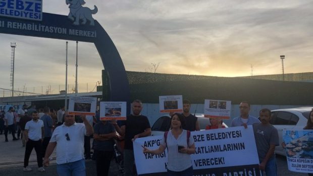 Belediye Zabıtaları Barınak önündeki hayvanseverlere saldırdı 11 Ekim 2024’te Kocaeli’de AKP’li Gebze Belediyesi’ne bağlı Sokak Hayvanları Tedavi, Rehabilitasyon ve Eğitim Merkezi’nde aralarında yavru kedi ve köpeklerin de olduğu 43 hayvan […]