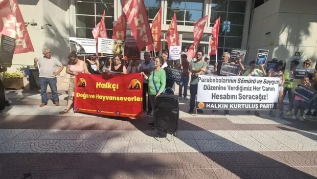Canlarımızın Canı İhaleye Çıkarılamaz! HKP İzmir İl Örgütü olarak İzmir Büyükşehir Belediyesinin sokak hayvanlarının toplatılması için taşeron bir şirkete 52 milyon TL’lik ihale vermesini protesto etmek için eylem yaptık. AKP’giller’in [&hellip;]
