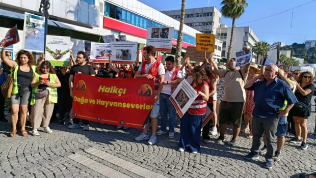 İzmir Valisi’nin sokak canlarımızı ölüm kampı demek olan barınaklarda toplamasını protesto ediyoruz. İzmir’de günlerdir AKP’giller’in İzmir Valisi Süleyman Elban’ın, yürürlükteki yasaya bile aykırı olarak verdiği emirle belediyeler, savunmasız sokak canlarımızı [&hellip;]